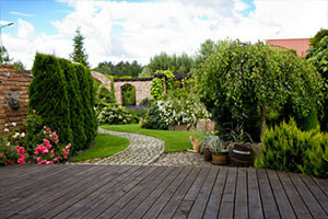 Gartengestaltung in Mainz